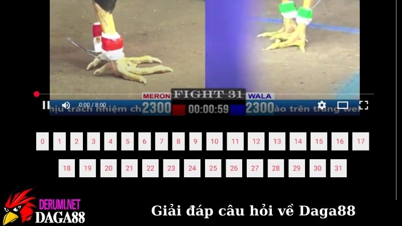 Trang Chủ 12 Giải đáp câu hỏi liên quan đến đá gà trực tiếp tại Daga88