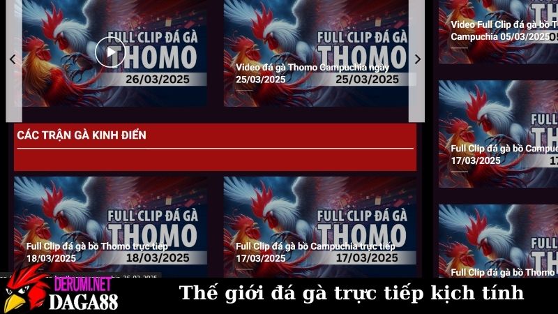 Trang Chủ 7 Thế giới đá gà trực tiếp tại Daga88 kịch tính đến từng giây