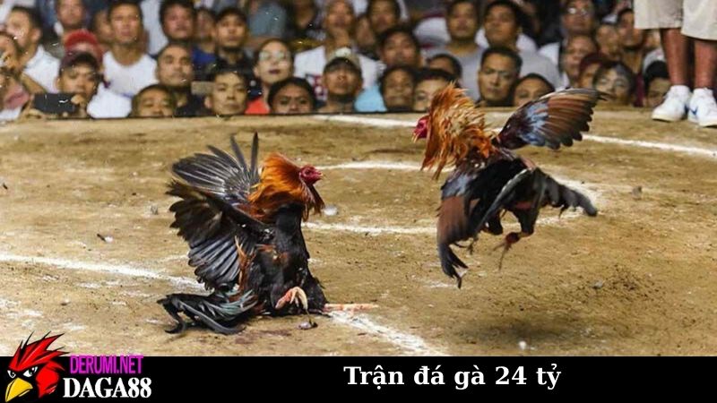 Thông tin trận đá gà 24 tỷ vô tiền khoáng hậu tại Việt Nam 6 Diễn biến cực căng não của trận đá gà 24 tỷ