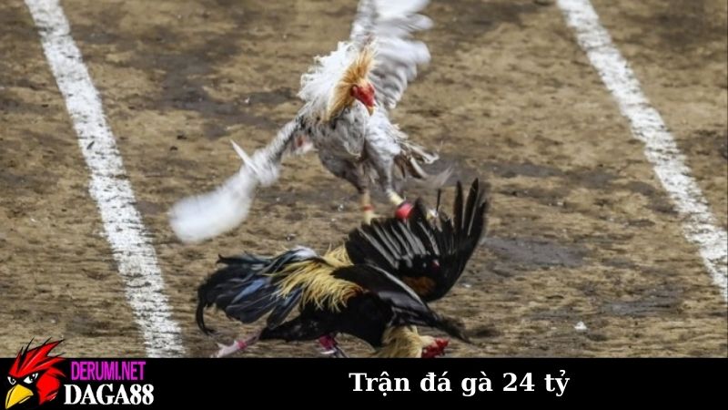 Thông tin trận đá gà 24 tỷ vô tiền khoáng hậu tại Việt Nam 7 Giá trị của trận đá gà 24 tỷ ảnh hưởng mạnh mẽ tới giới kê thủ