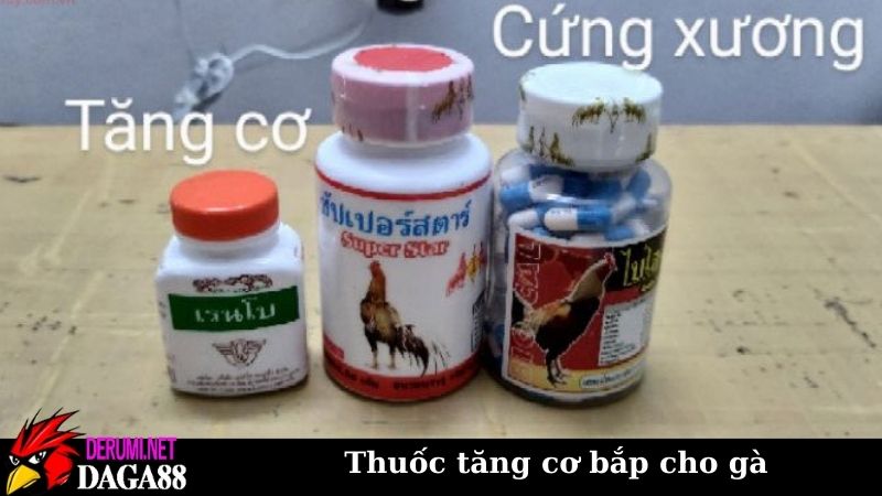 Thuốc tăng cơ bắp cho gà có hiệu quả? Hiểu đúng về bản chất 5 Thuốc tăng cơ bắp cho gà có thật sự hiệu quả hay không?